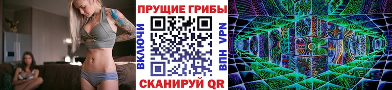 Псилоцибиновые грибы Cubensis продажа наркотиков darknet состав Тобольск